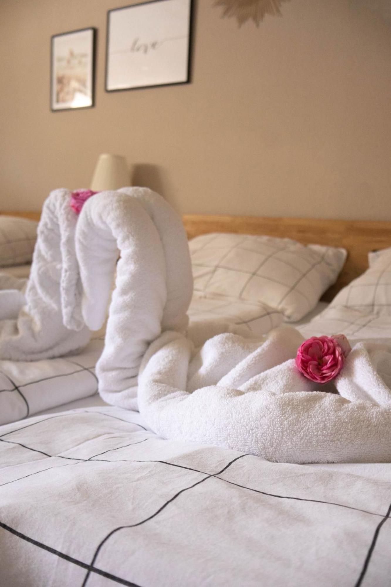 Kuzey Apartments Kappel-Grafenhausen Εξωτερικό φωτογραφία